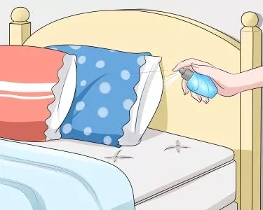 用香味打造性感魅力：如何用香水吸引他人