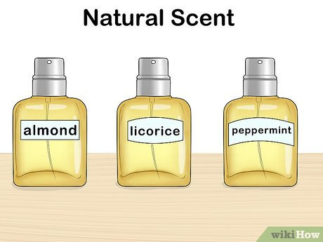 Step 3 Wear natural scents.